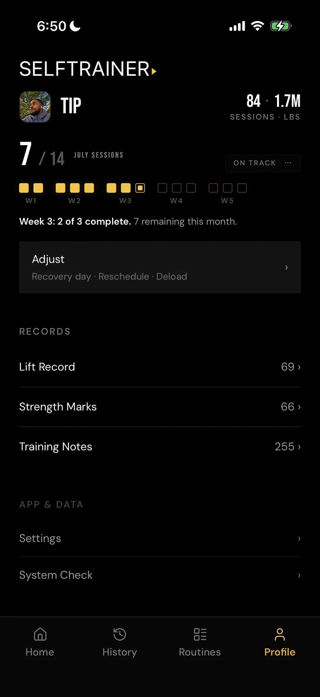 SelfTrainer PWA profile showing intentionally published session and volume totals, July adherence markers, recovery adjustments, and accumulated record categories.